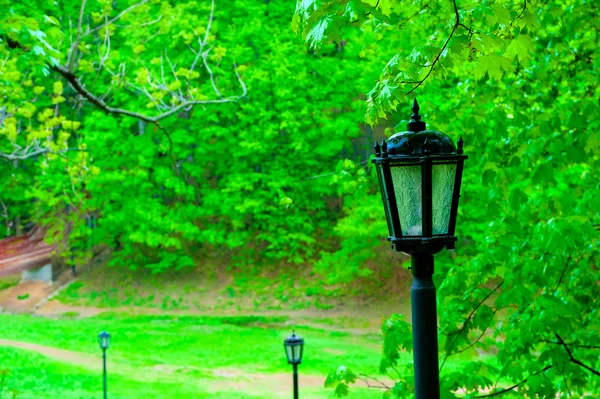 Вулична лампа в старому стилі, в парку — стокове фото