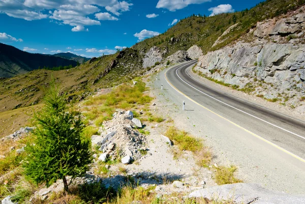 山の道路。アルタイ山脈。ロシア. — ストック写真