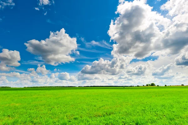 Schöne Wolken über der grünen Wiese an einem sonnigen Tag — Stockfoto