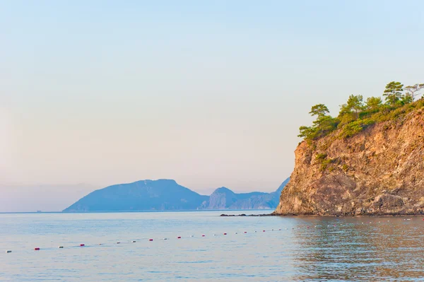 Sarp bir kayalık sahil sakin denizde ağaçta büyüyen — Stok fotoğraf