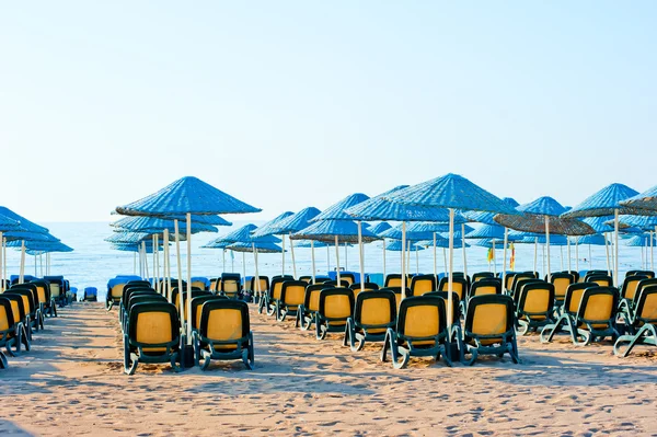 Prydliga rader av solstolar på stranden — Stockfoto