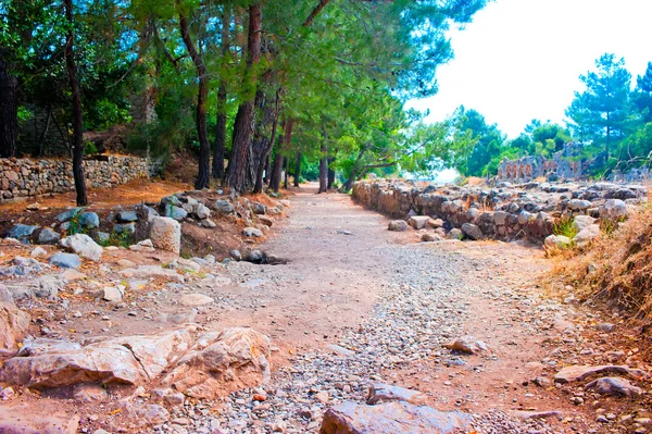 The ruins of ancient Olympos, Turkey — Stock Photo, Image