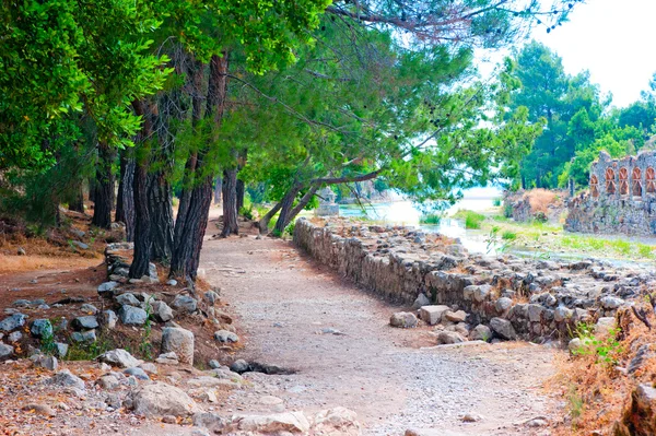 Sentiero guidato in Ancient Olympos, Turchia — Foto Stock