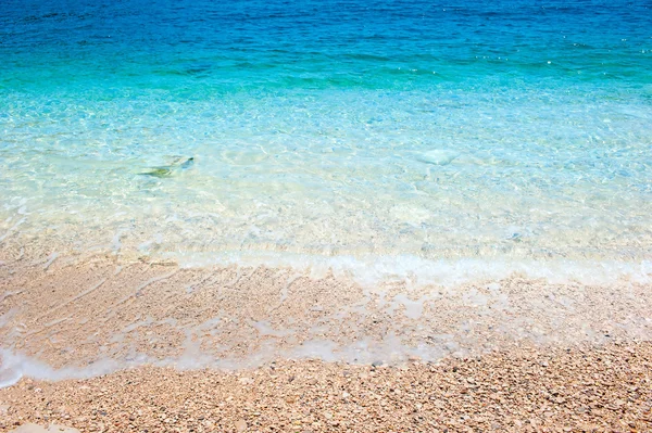 Kayalık sahilde temiz deniz su böreği — Stok fotoğraf