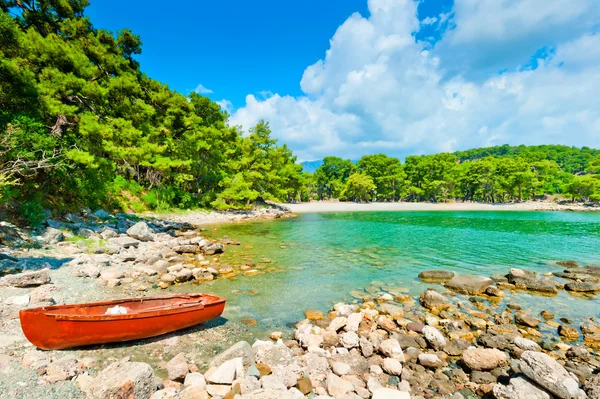 Stenig strand, båten och det vackra landskapet i furu — Stockfoto