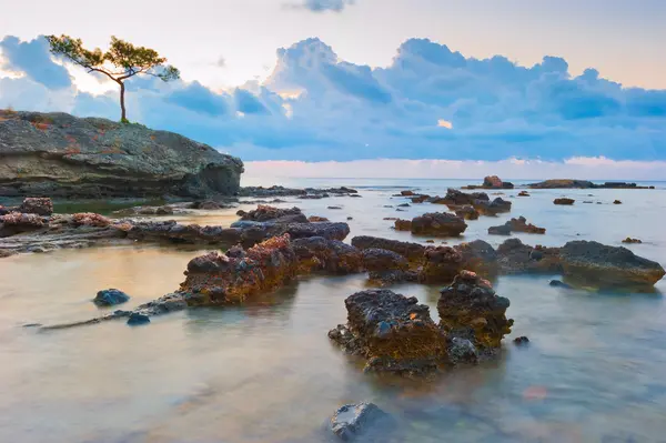 Beautiful morning landscape marine reef — Stock Photo, Image