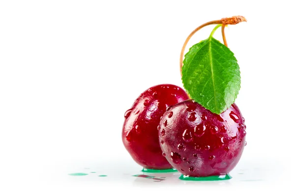 Water drops on ripe cherries and leaf — Stock Photo, Image