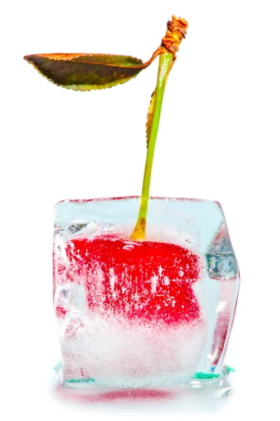 Ice and cherry cocktail — Stock Photo, Image