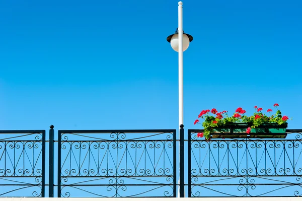 Candeeiro e panela com belas flores — Fotografia de Stock