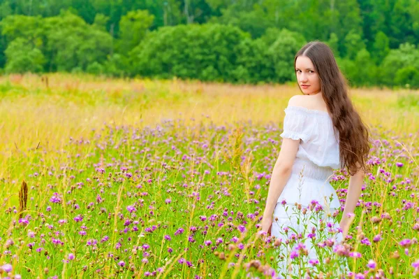 Retrato de una hermosa morena en un campo de flores moradas —  Fotos de Stock