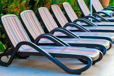 Hotel havuz etrafında boş şezlong sayısı