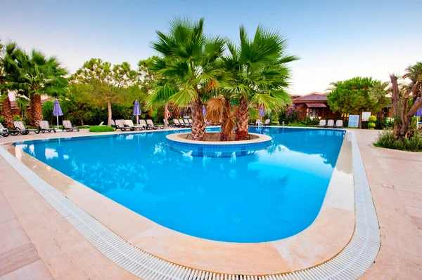 Palm trees in the center of an empty swimming pool — Stock Photo, Image