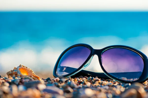 Napszemüveg és kagylók a parton — Stock Fotó