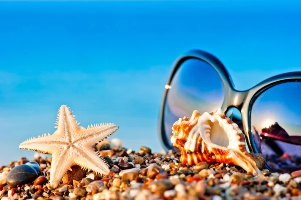 Sunglasses and marine life on the beach — Stock Photo, Image
