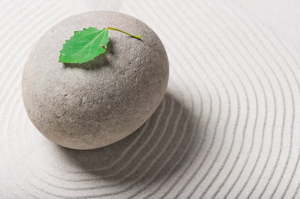 Green leaf on a gray large stone — Stock Photo, Image