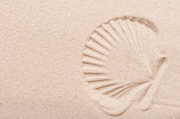 Conchas de impressão em areia fina seca — Fotografia de Stock