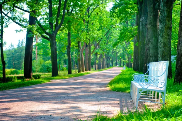 Prachtig aangelegde park zomerdag — Stockfoto