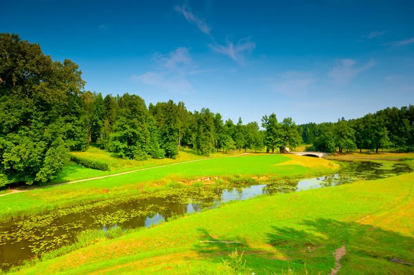 Russian beautiful landscape on a sunny summer day