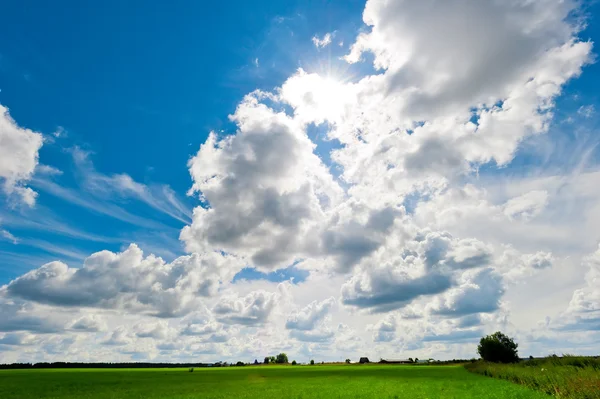 Belo campo exuberante e nuvens cumulus — Fotografia de Stock