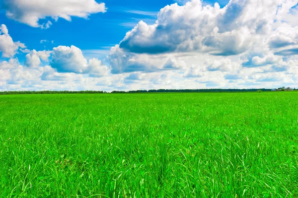 Hermoso paisaje. Nubes cúmulos y hierba verde — Foto de Stock