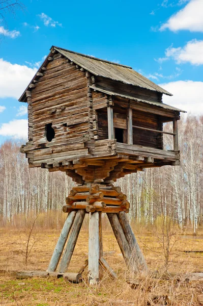 Casa in legno su pali nel campo — Foto Stock