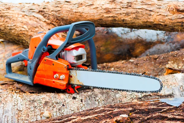 Chainsaw close seup on a felled forest — стоковое фото