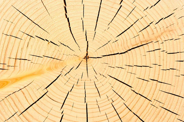 のこぎりの古い木材の微細組織 — ストック写真