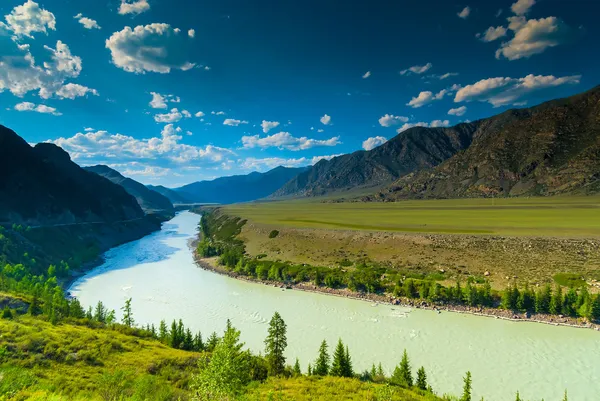 Yüksek dağlar ve Altay yemyeşil çayırlar — Stok fotoğraf