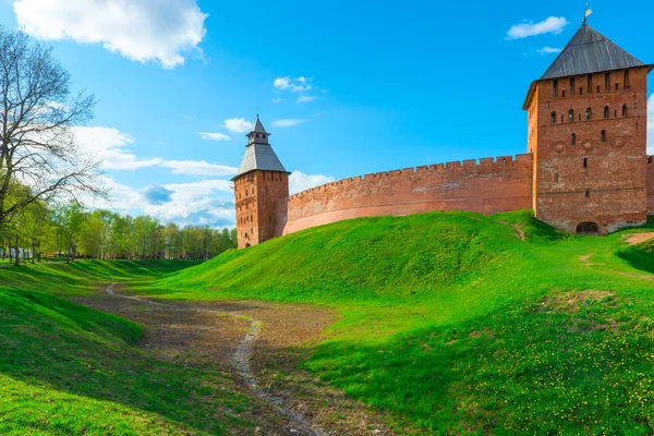yeşil çim ve novgorod kremlin duvarları etrafında bir hendek