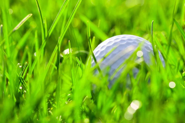 Witte Golfbal op groen gras — Stockfoto