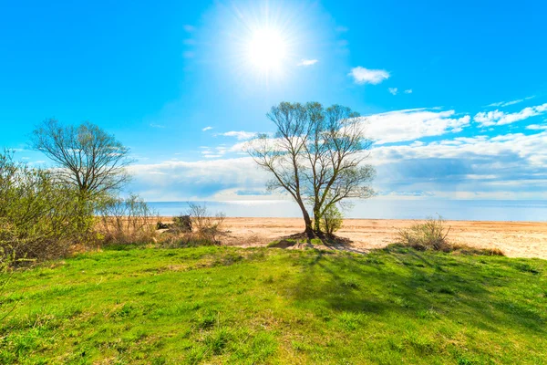 Beau paysage chaude journée ensoleillée — Photo