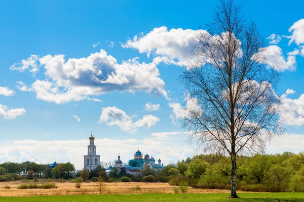 Beautiful view of the monastery for the field — Stock Photo, Image