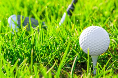 Yeşil çimlerde beyaz golf topu
