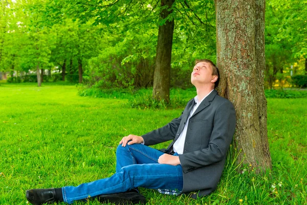 Businessman in the park looking up at a tree — Stock Photo, Image