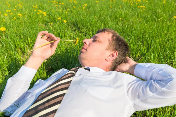 Businessman lying on the grass and sniffs dandelion — Stock Photo, Image