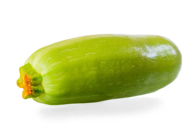 Färsk zucchini på vit bakgrund makro — Stockfoto