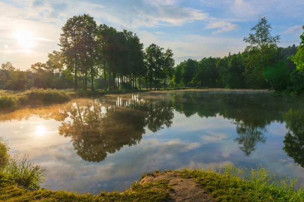 Jasné slunce a krásné lesní jezero v létě — Stock fotografie