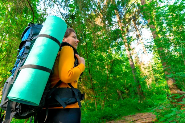 Turista con una mochila en el bosque en busca de la carretera —  Fotos de Stock