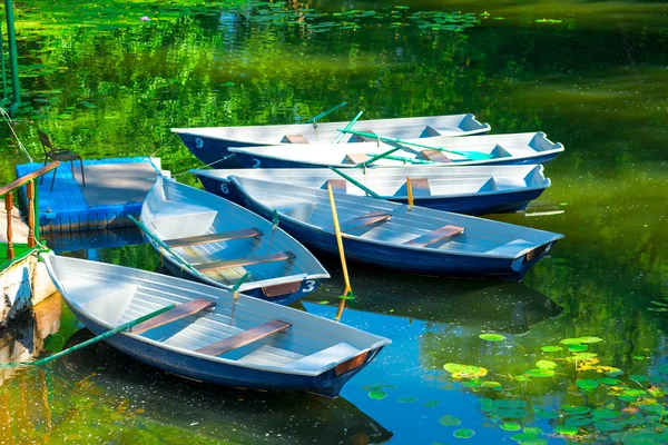 Bateaux à rames dans l'étang tôt le matin — Photo