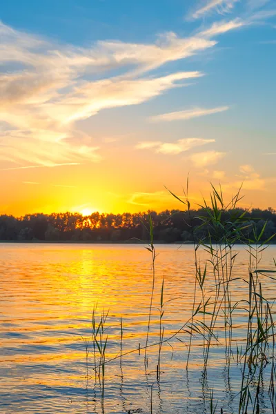 Goldener Sonnenuntergang über dem See und dem schönen Himmel — Stockfoto