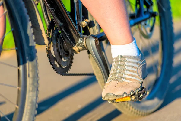 Fietsen macro-opnamen delen in de ochtend — Stockfoto