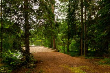 Fishing wooden bridge on the river among the trees