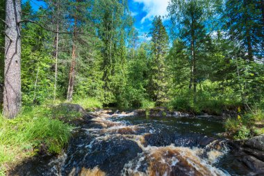 Ruskeala Falls. Wonderful natural park in northern Russia, Republic of Karelia. Not far from the town of Sortavala clipart