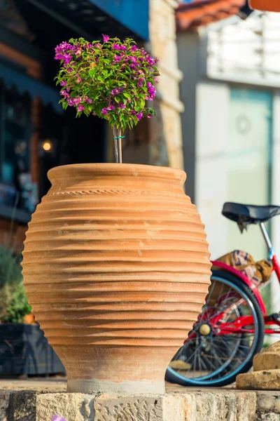 Small Tree Pink Flowers Brick Planter City Street — 图库照片