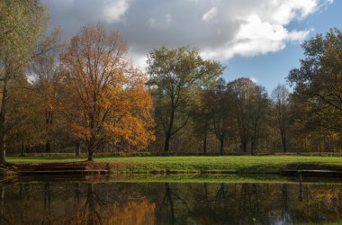 Sonbahar park görünümünde