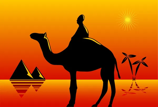 Nomad med kamel i öknen — Stock vektor