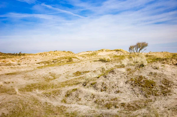 Duinen Nederland Prachtig Voorjaarslandschap — Stockfoto