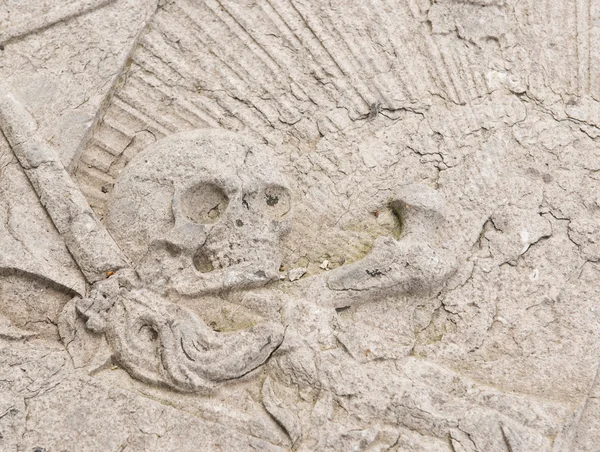 Skull on gravestone — Stock Photo, Image