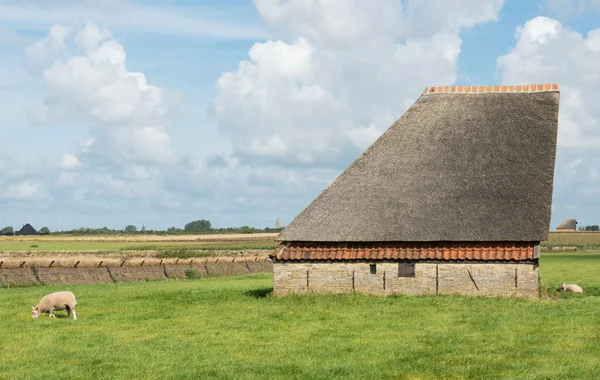 Granero en la isla de Texel —  Fotos de Stock