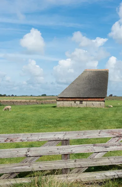 Granero en la isla de Texel — Foto de Stock